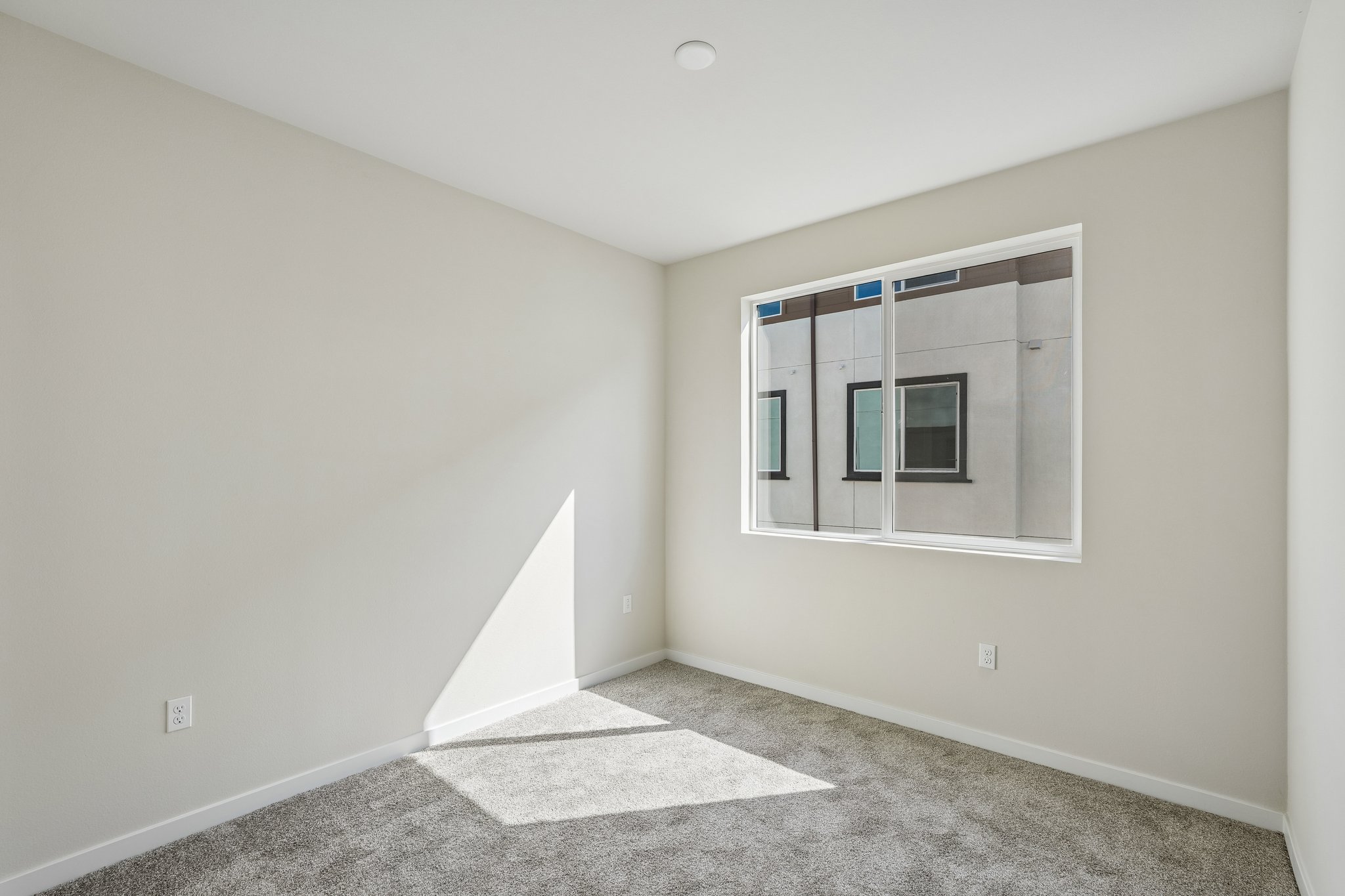 A room with a window and a rug.