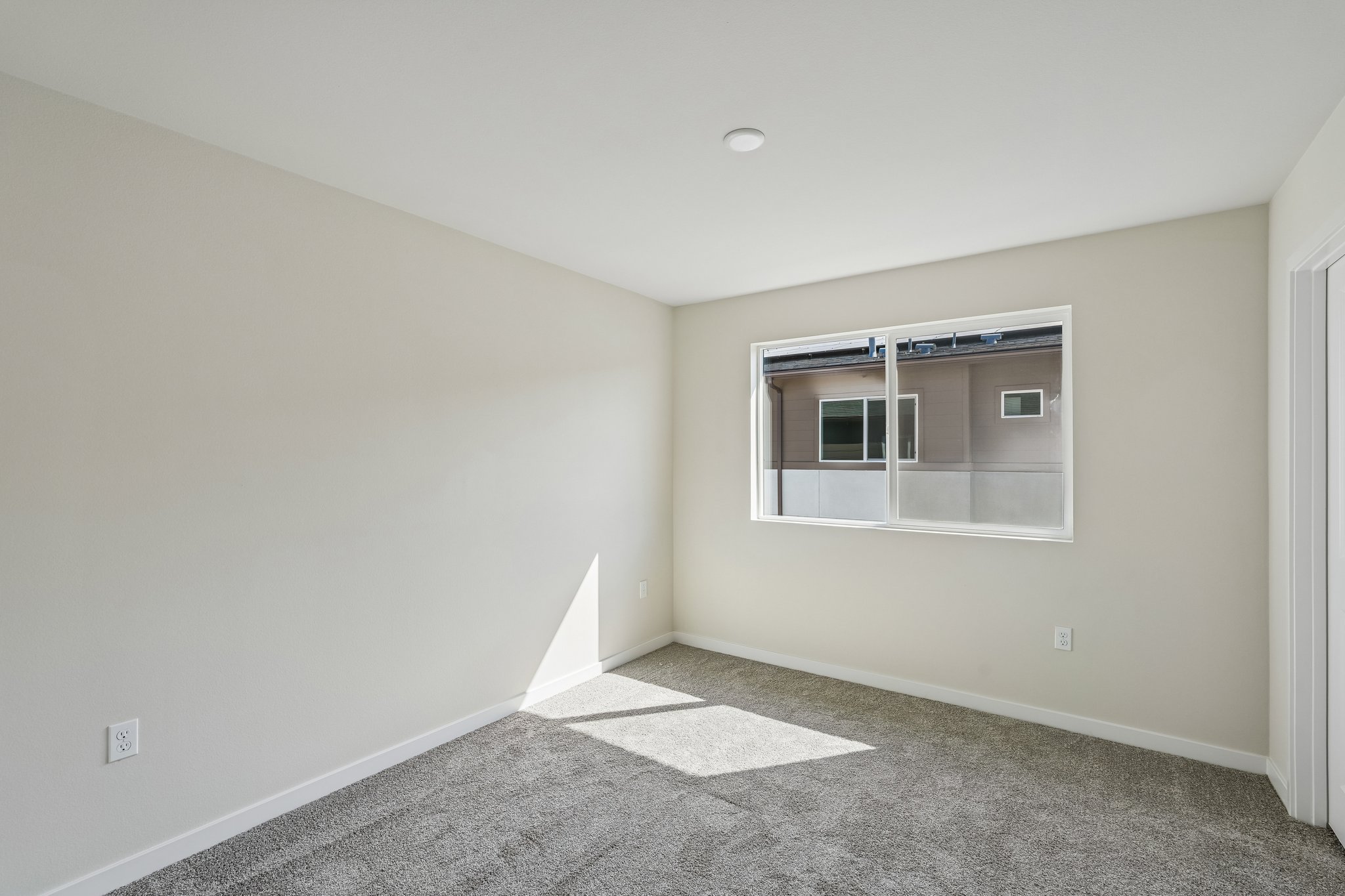 A room with a window and a rug.