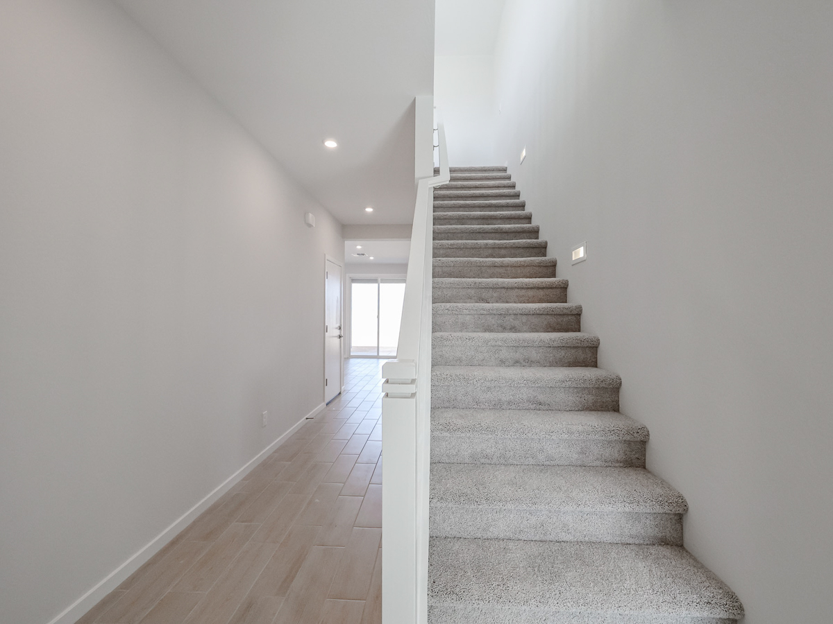 A staircase in a building.