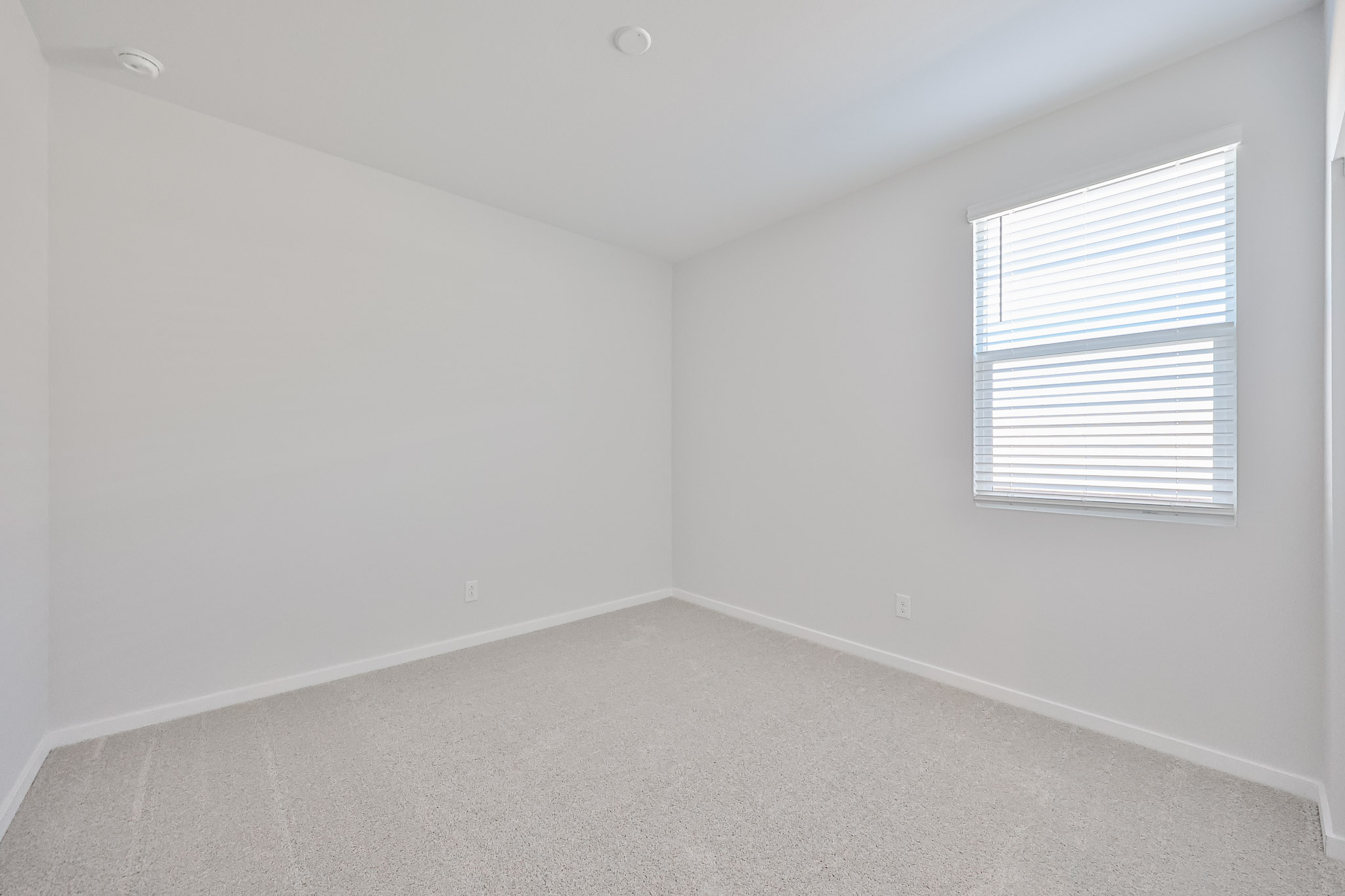 A room with a window and a carpet.