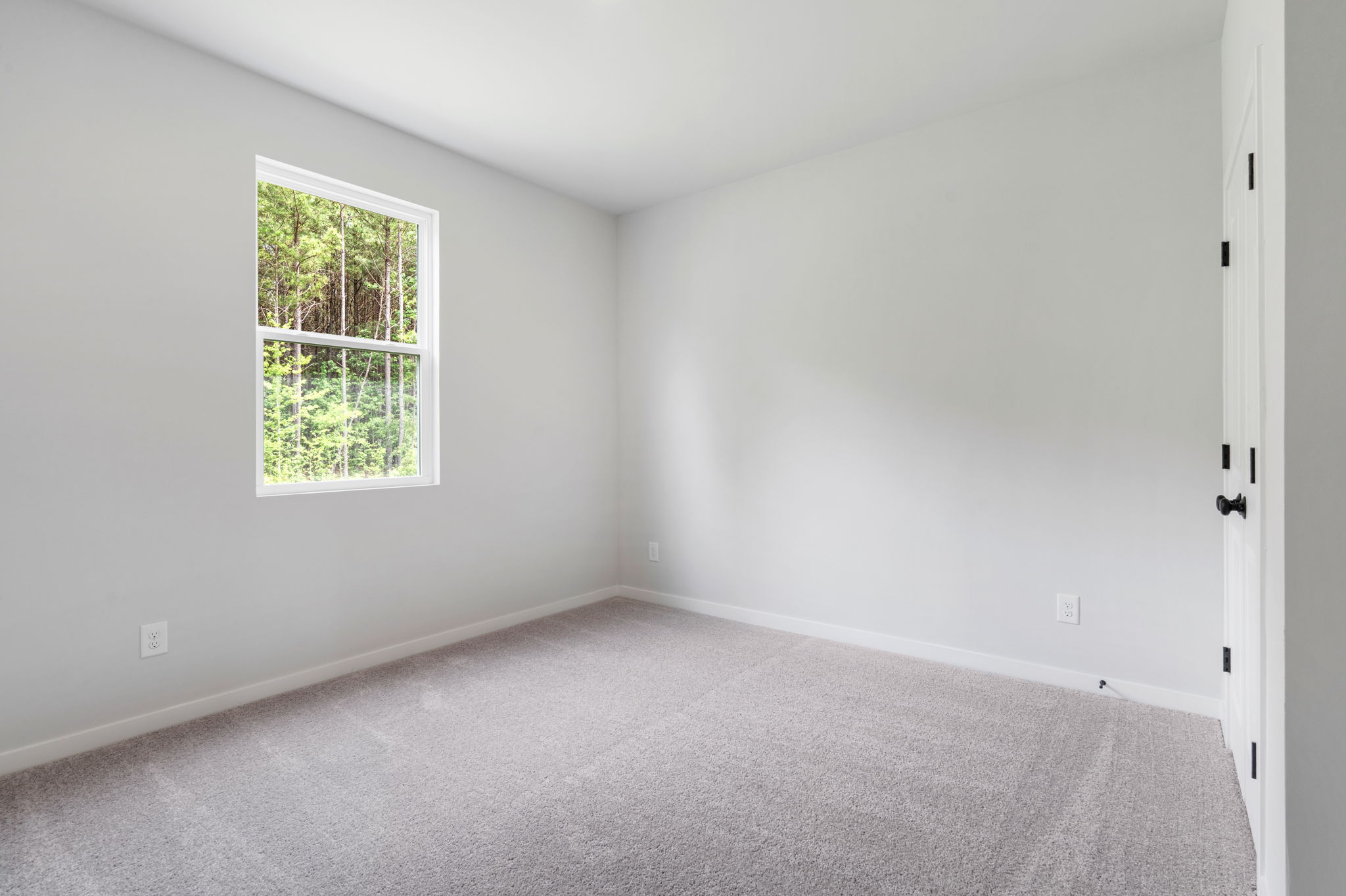 A room with a window and a carpet.