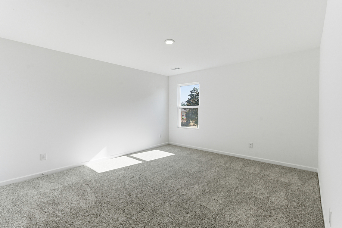 A room with a carpet and windows.