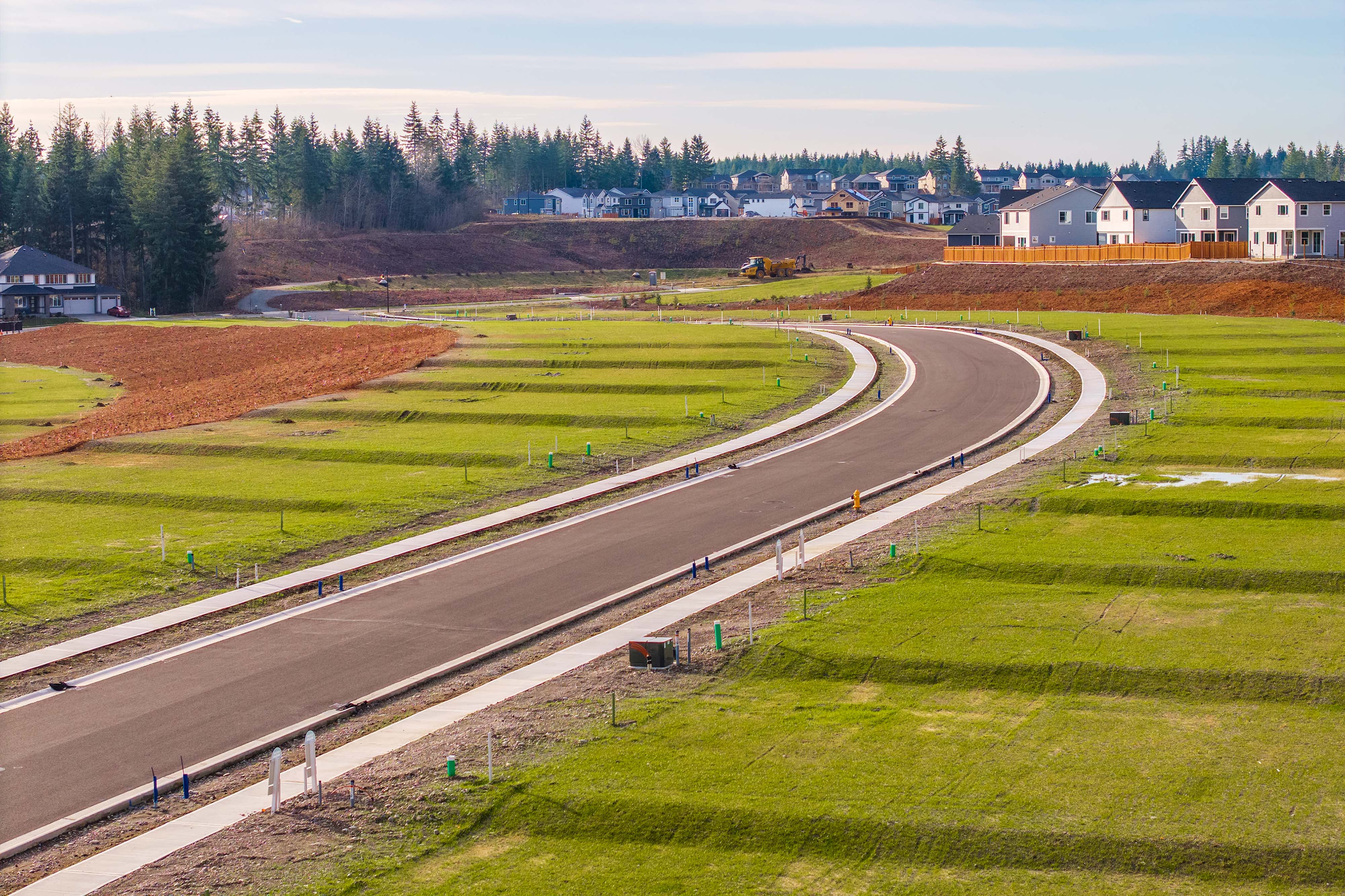 A road with grass and trees.