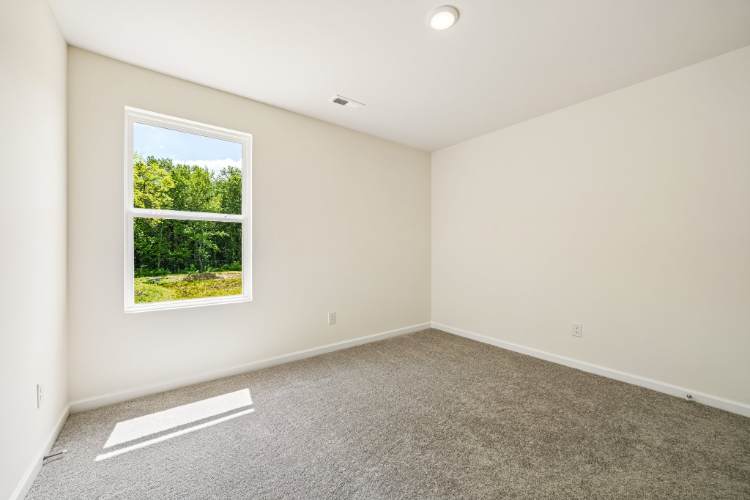 A room with a window and a rug.