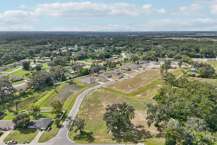 A landscape with trees and buildings.